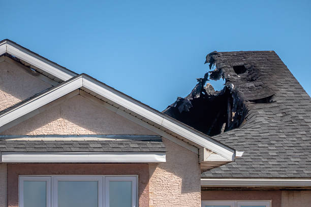 Top rated local Emergency Fire Cleanup specialists in Clearwater, FL